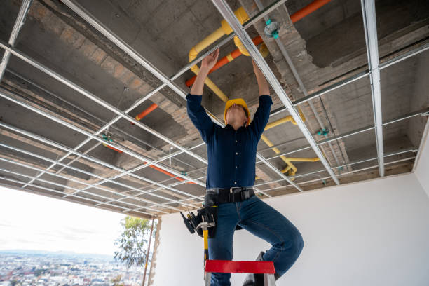 Best Residential Plumbing Services  in Malta, MT